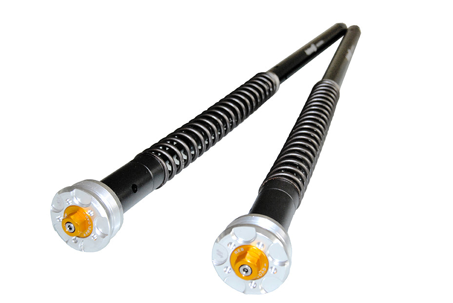 CARTUCCE FORCELLA Andreani Misano Evo 2 – Ducati MONSTER 600 – (fork Showa 43)