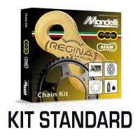 REGINA Kit Trasmissione Finale HONDA CB 600 F HORNET 07 13 - Race Moto Shop