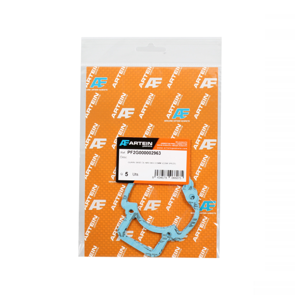 GUARNIZIONI BASE CILINDRO ARTEIN PIAGGIO QUARTZ/NRG 50CC