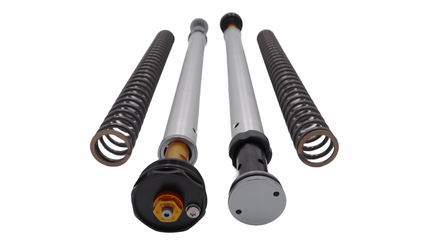 Andreani Misano Evo Honda CRF 300 L 2021- (Showa 43)