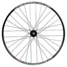RODI Ruota Anteriore 28" x 21mm CORSA Disco Perno Passante 100x10 32 Raggi