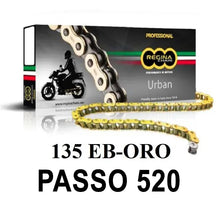 REGINA Catena 135EB-ORO 106 Maglie Passo 520 - Oro