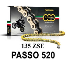 REGINA Chain 135ZSE 120 links pitch 520 - Gold 