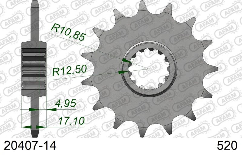 Pignone AFAM 20407-14 Passo 520