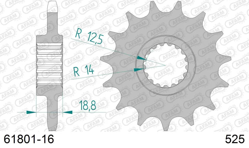 Pignone AFAM 61801-16 passo 525