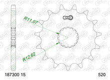 Pignone AFAM 187300-15 Passo 520