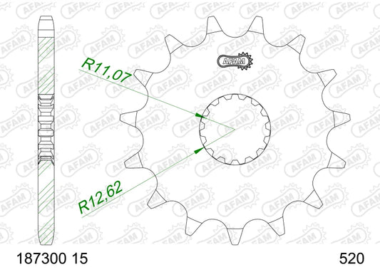 Pignone AFAM 187300-15 Passo 520