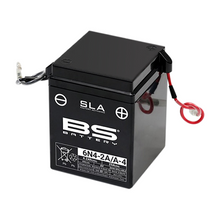 BS SLA 6N4-2A/A-4 BATTERY