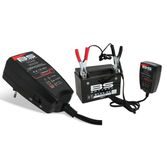 BS 10 BATTERY CHARGER