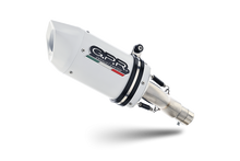 SCARICO GPR KAWASAKI Z 900 2020 E4 Albus Evo4