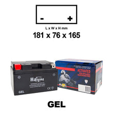 Batteria HAIJIU FA 51913-22AH-FA Sigillata Precaricata