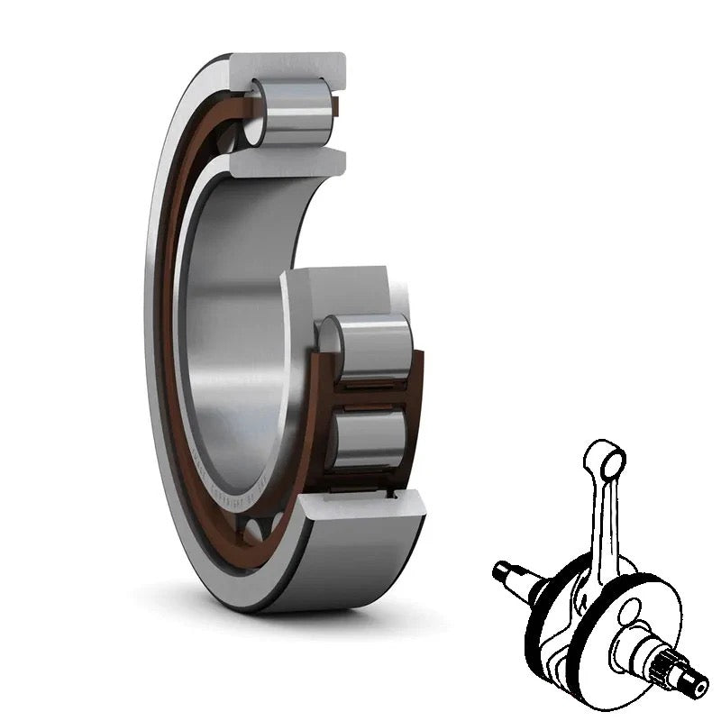 SKF Cuscinetto NJ 204 ECP/C3 20x47x14mm