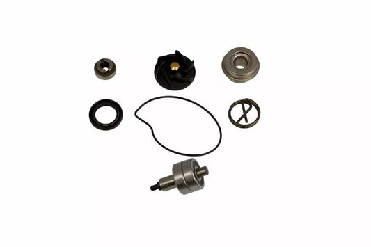 PARTS EUROPE Kit di revisione pompa acqua Piaggio / Gilera