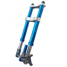 FG GUBELLINI FORCELLA FFX06